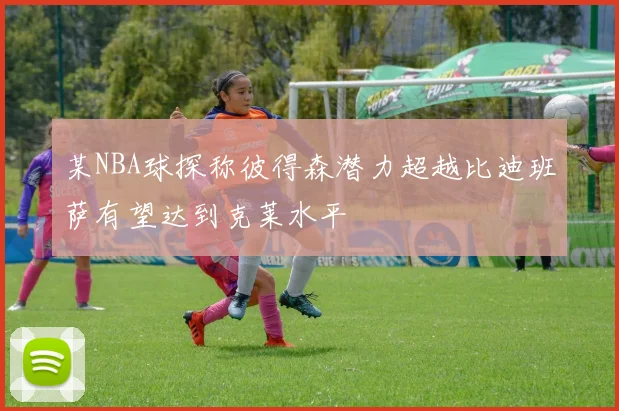 某NBA球探称彼得森潜力超越比迪班萨有望达到克莱水平